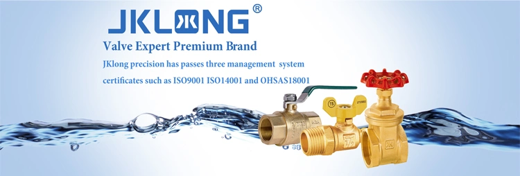 No MOQ Brass Gas Ball Valve Solenoid Butterfly Control Check Swing Globe Stainless Steel Flanged Y Strainer Bronze Mini Valve From China OEM\ODM Supplier