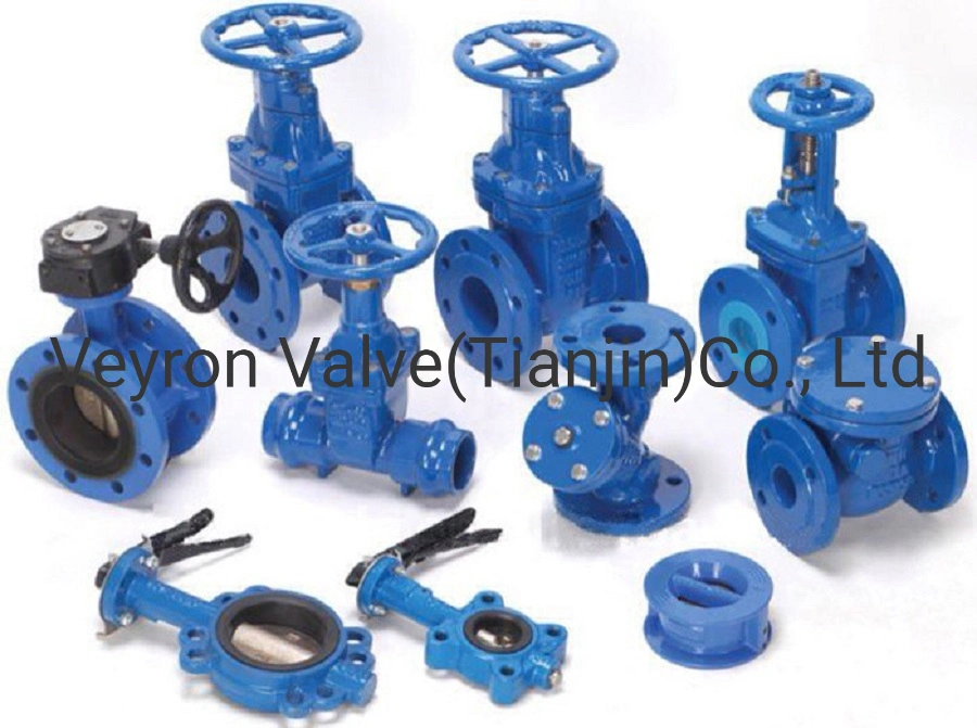 DIN ANSI ASME BS Ductile Cast Iron Brass Seal Metal Motor Operated Power Down Reset Motorized Electric Actuated Gate Valve