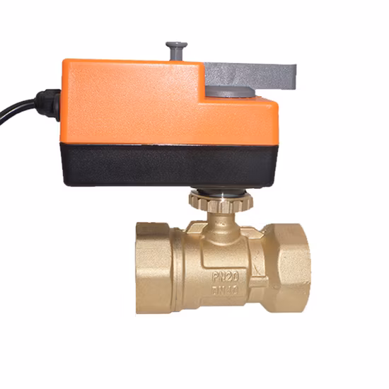 Winvall Water Treatment Electric Brass Valve Motorized Control Motorised Ball Valve