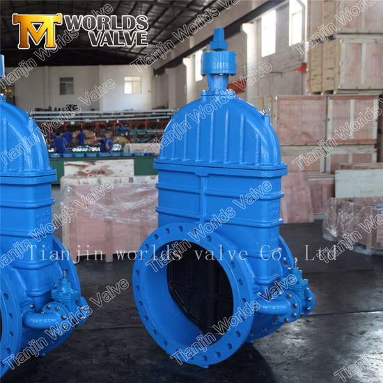 Factory Direct 4 6 Inch Rubber Coated Electric Motor Operated Actuated Ductile Iron Ggg50 Double Flanged BS5163 Wedge Gate Valves with Worm Gear Handwheel